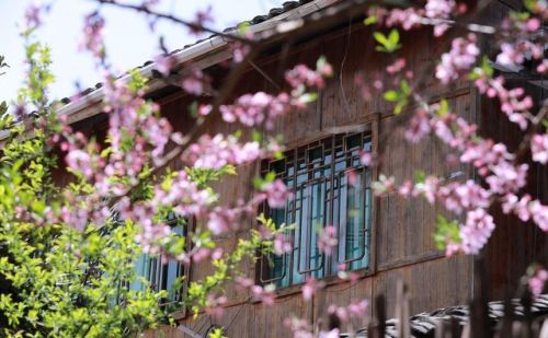 贵州剑河：洞脚村，600年侗寨春景如画