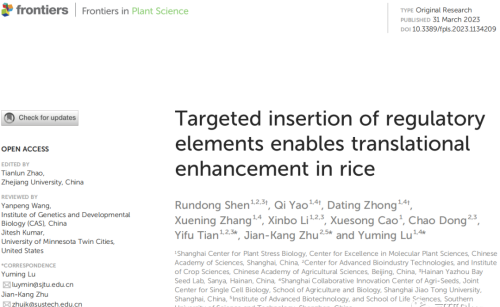 上海交大合作通过靶向敲入翻译增强子实现精准的水稻抗病抗逆育种