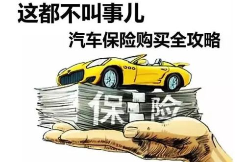 为啥老司机都不买车损险？内行人说“吃一次亏就明白了”是怎么回事？