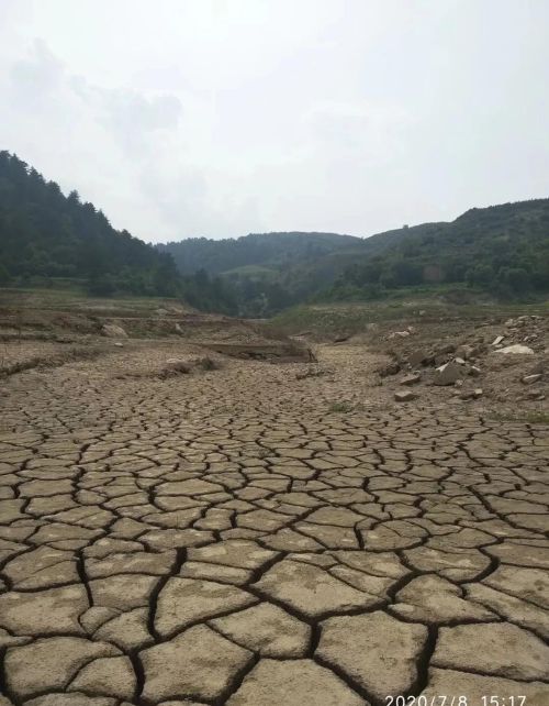 土地抛荒严重，粮食逐年减产，请问，你愿意干农业吗？