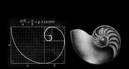 数学上有哪些奇怪的函数或方程？