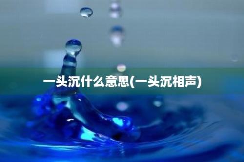 一头沉什么意思(一头沉相声)