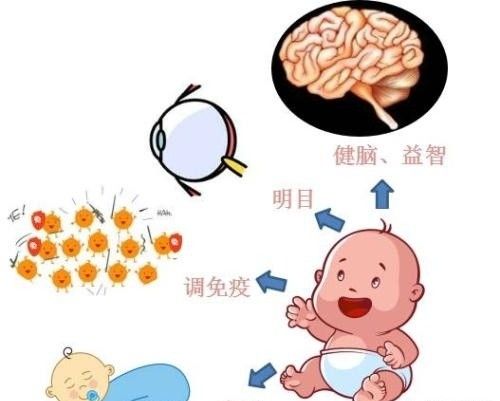 孕妇什么时候吃dha？