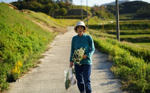 为什么农村老人养老金不足1千，却每月到账就取钱，是怕钱没了吗？