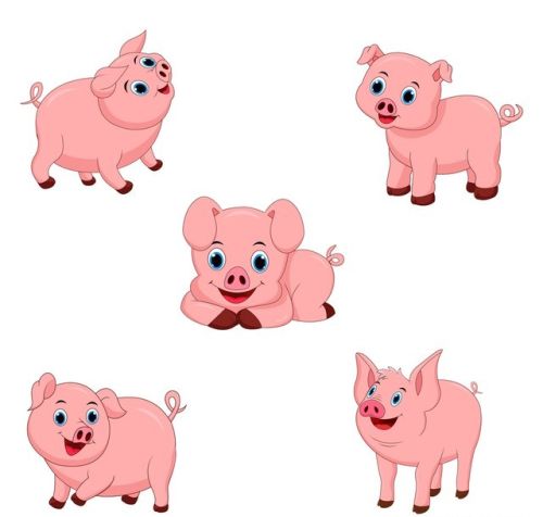 生肖猪对什么人最反感？