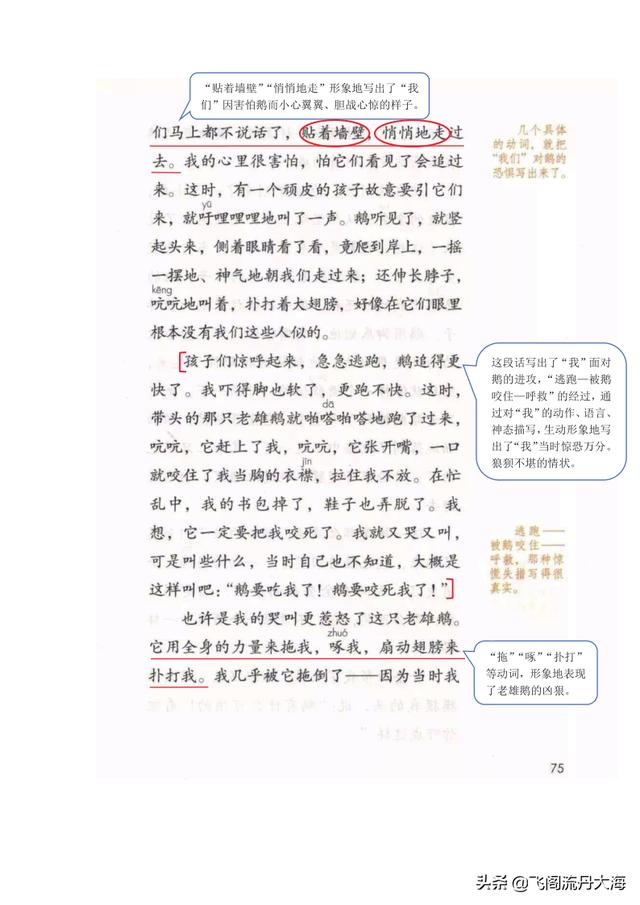 四年级上册语文牛和鹅学习笔记（小学四年级上语文18课牛和鹅课堂笔记）(2)