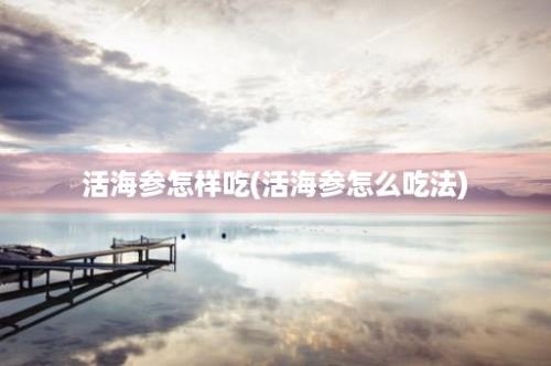 活海参怎样吃(活海参怎么吃法)