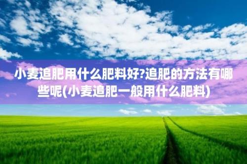 小麦追肥用什么肥料好?追肥的方法有哪些呢(小麦追肥一般用什么肥料)