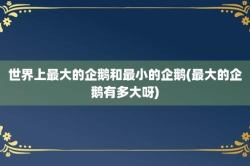 世界上最大的企鹅和最小的企鹅(最大的企鹅有多大呀)