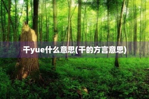 干yue什么意思(干的方言意思)