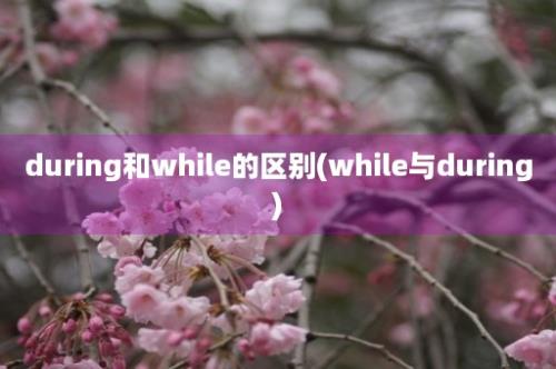 during和while的区别(while与during)