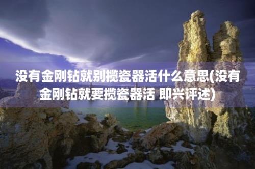 没有金刚钻就别揽瓷器活什么意思(没有金刚钻就要揽瓷器活 即兴评述)