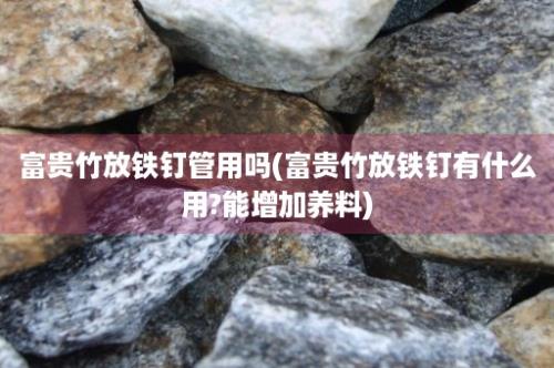 富贵竹放铁钉管用吗(富贵竹放铁钉有什么用?能增加养料)