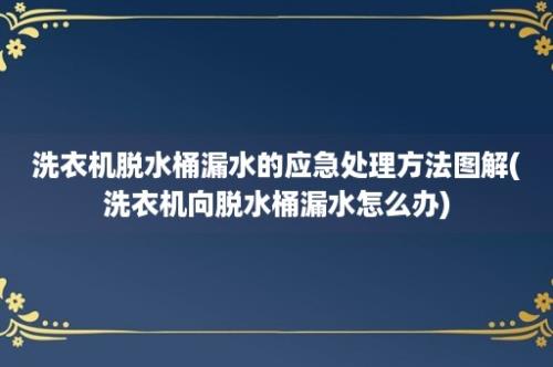 洗衣机脱水桶漏水的应急处理方法图解(洗衣机向脱水桶漏水怎么办)