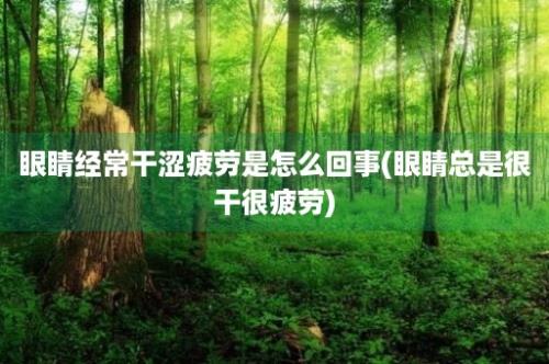 眼睛经常干涩疲劳是怎么回事(眼睛总是很干很疲劳)