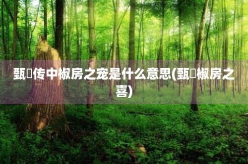 甄嬛传中椒房之宠是什么意思(甄嬛椒房之喜)