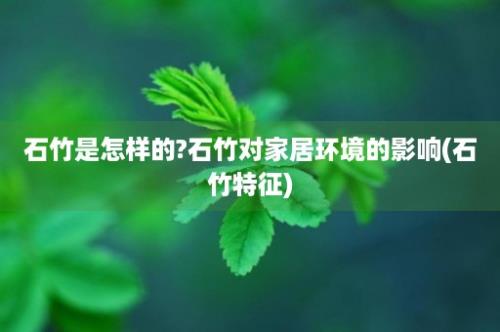 石竹是怎样的?石竹对家居环境的影响(石竹特征)