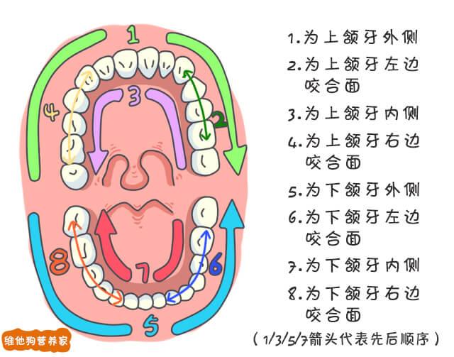 如果还不治好你的口臭，一开口你就输了 维他狗（如果还不治好你的口臭）(18)