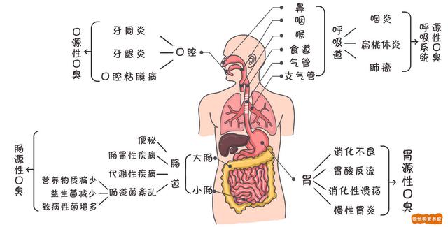 如果还不治好你的口臭，一开口你就输了 维他狗（如果还不治好你的口臭）(22)