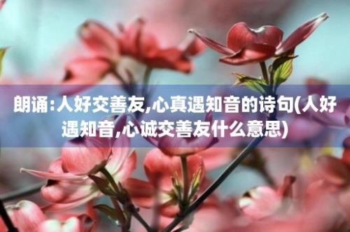 朗诵:人好交善友,心真遇知音的诗句(人好遇知音,心诚交善友什么意思)