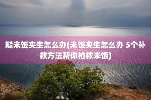 糙米饭夹生怎么办(米饭夹生怎么办 5个补救方法帮你抢救米饭)