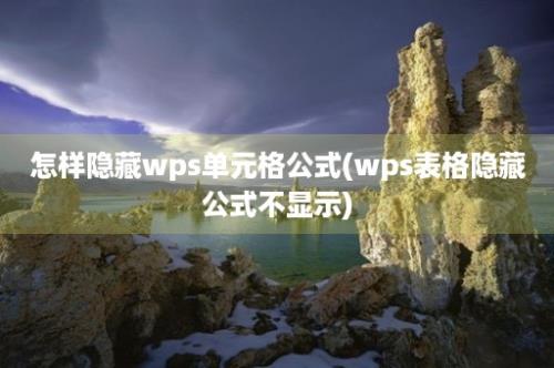 怎样隐藏wps单元格公式(wps表格隐藏公式不显示)