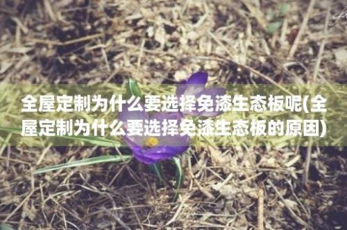 全屋定制为什么要选择免漆生态板呢(全屋定制为什么要选择免漆生态板的原因)