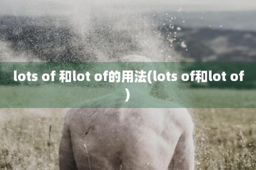 lots of 和lot of的用法(lots of和lot of)