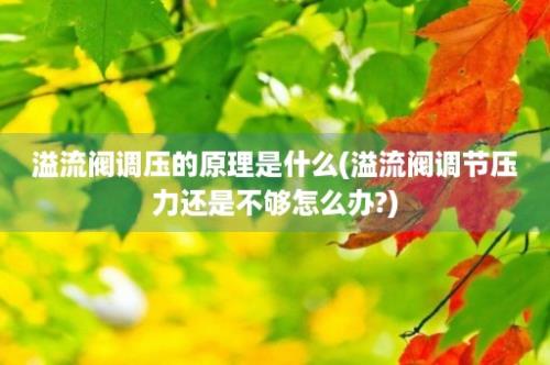 溢流阀调压的原理是什么(溢流阀调节压力还是不够怎么办?)