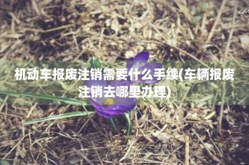 机动车报废注销需要什么手续(车辆报废注销去哪里办理)