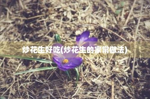 炒花生好吃(炒花生的家常做法)