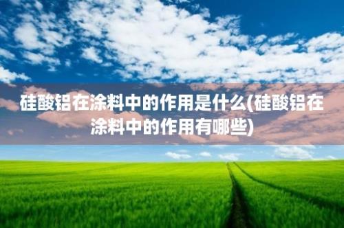 硅酸铝在涂料中的作用是什么(硅酸铝在涂料中的作用有哪些)