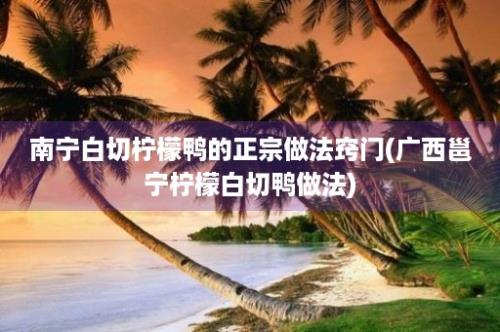 南宁白切柠檬鸭的正宗做法窍门(广西邕宁柠檬白切鸭做法)