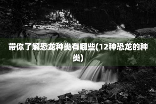 带你了解恐龙种类有哪些(12种恐龙的种类)