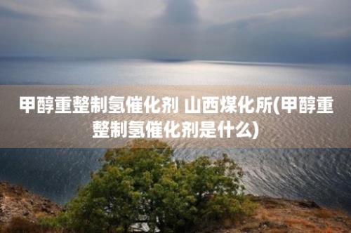 甲醇重整制氢催化剂 山西煤化所(甲醇重整制氢催化剂是什么)