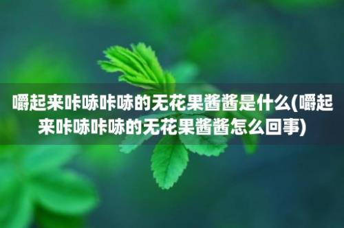 嚼起来咔哧咔哧的无花果酱酱是什么(嚼起来咔哧咔哧的无花果酱酱怎么回事)