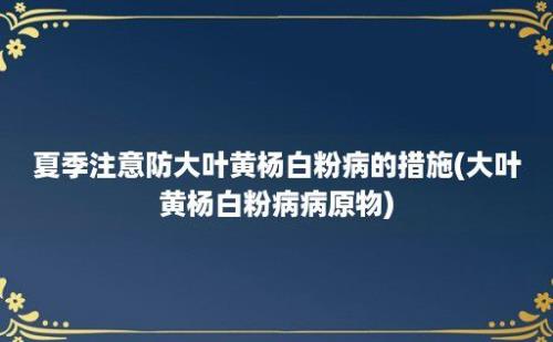 夏季注意防大叶黄杨白粉病的措施(大叶黄杨白粉病病原物)