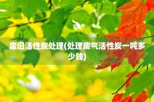 废旧活性炭处理(处理废气活性炭一吨多少钱)