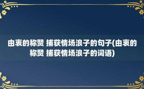 由衷的称赞 捕获情场浪子的句子(由衷的称赞 捕获情场浪子的词语)