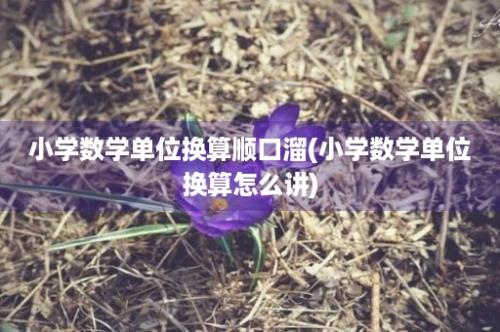 小学数学单位换算顺口溜(小学数学单位换算怎么讲)