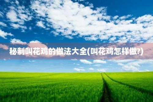 秘制叫花鸡的做法大全(叫花鸡怎样做?)