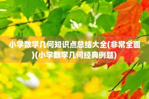 小学数学几何知识点总结大全(非常全面)(小学数学几何经典例题)