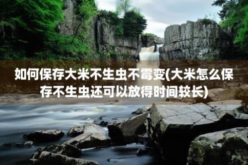 如何保存大米不生虫不霉变(大米怎么保存不生虫还可以放得时间较长)