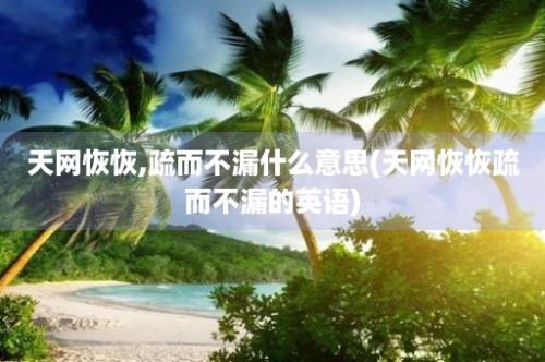 天网恢恢,疏而不漏什么意思(天网恢恢疏而不漏的英语)