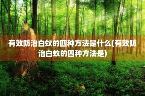 有效防治白蚁的四种方法是什么(有效防治白蚁的四种方法是)