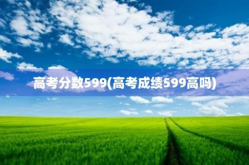 高考分数599(高考成绩599高吗)