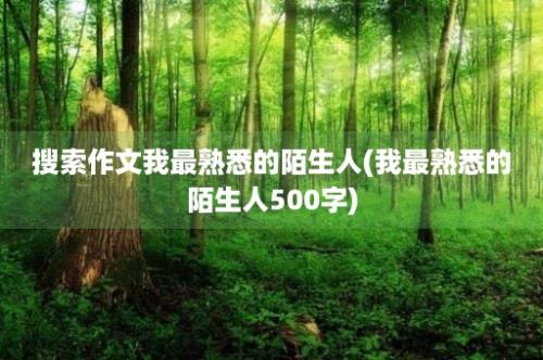 搜索作文我最熟悉的陌生人(我最熟悉的陌生人500字)