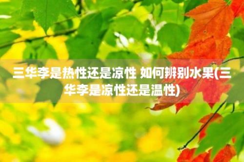 三华李是热性还是凉性 如何辨别水果(三华李是凉性还是温性)