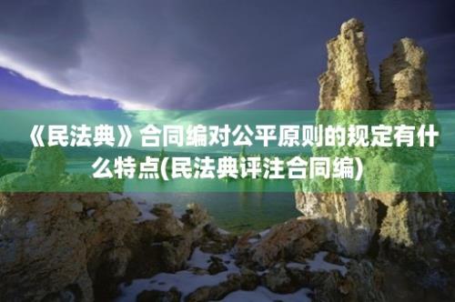 《民法典》合同编对公平原则的规定有什么特点(民法典评注合同编)