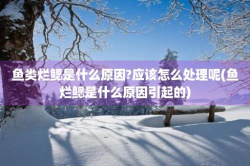 鱼类烂鳃是什么原因?应该怎么处理呢(鱼烂鳃是什么原因引起的)